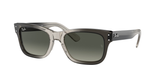 Transparent Grey (134071) / 55