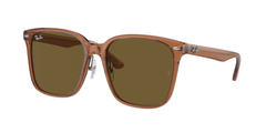 Transparent Brown (663673)