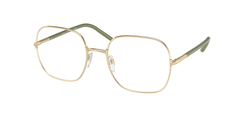 ZVN1O1 (Gold)