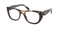 Caramel Tortoise (14P1O1)