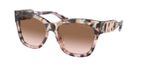 Pink Tortoise (334513) / 55