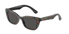 Red Roses (342687)