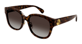 Havana (002) / 55