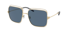 Shiny Light Gold (334980)