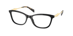 Black (1AB1O1)