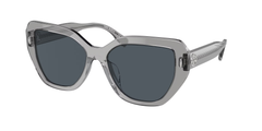 Transparent Grey (195387)