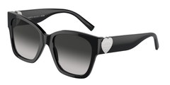 Black (80013C)