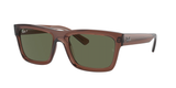Transparent Brown (66789A) / 57