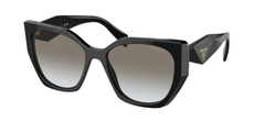 1AB0A7 (Black)