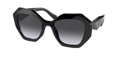 1AB5D1 (Black)