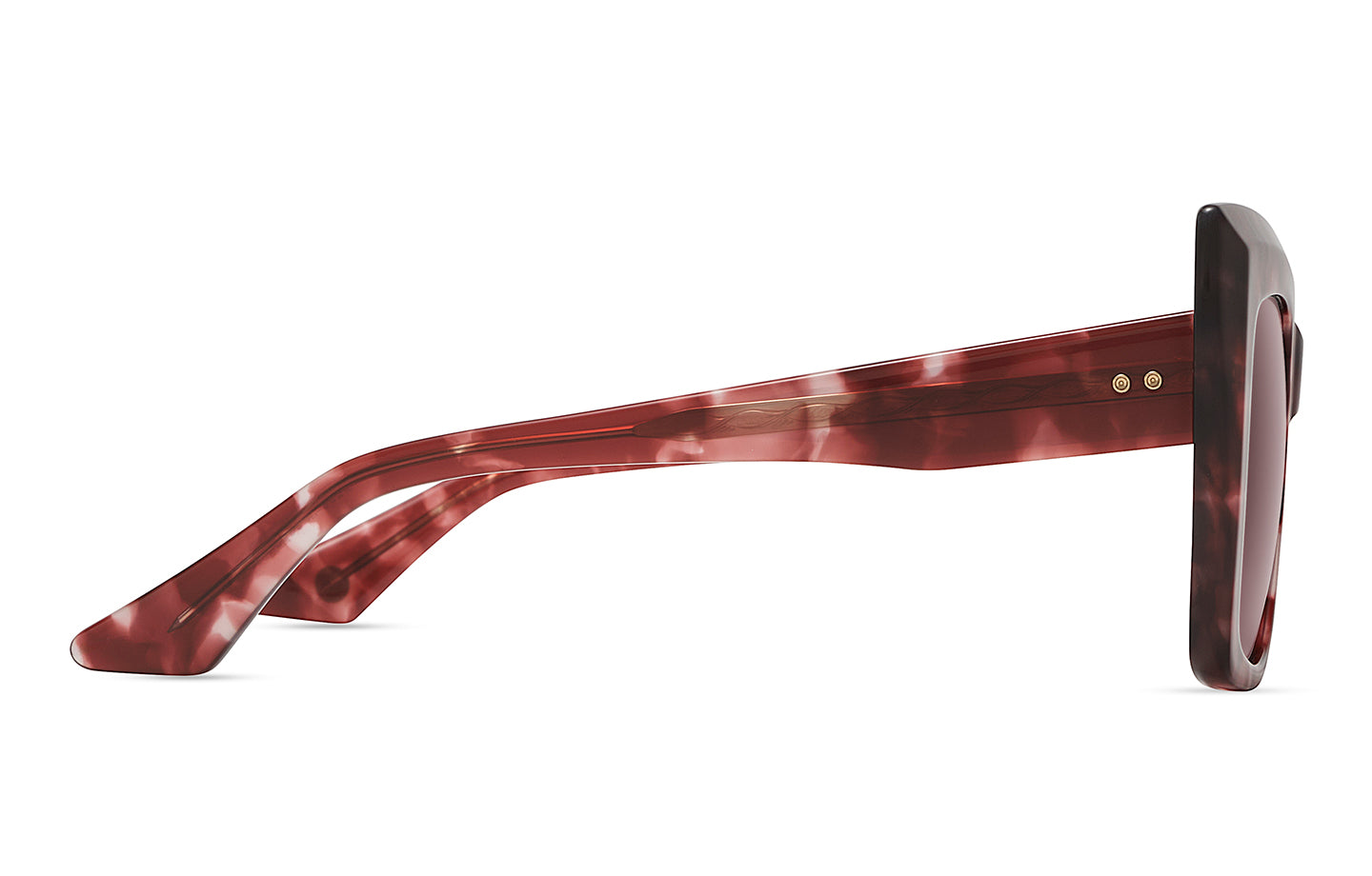 Rose Tortoise (61847) / 57 | 2