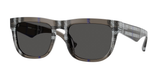 Check Lichen (414787) / 56