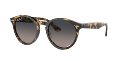 Yellow Havana (1332GL)