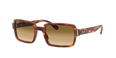Striped Havana (954/51)