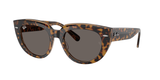 Havana On Transparent Brown (1292B1) / 52