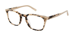 Ivory Tortoise (764724860479)