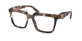 Caramel Tortoise (14P1O1) / 54