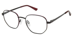 Sfk (S100)
