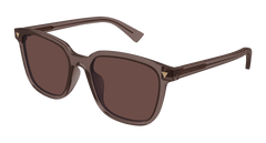 Brown (003)