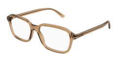 Brown (004)