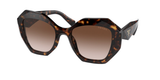 Prada Pr 16Ws – Havana (2AU6S1) / 53 Sunglasses Frame
