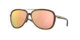 Brown Tortoise (412914) / 58