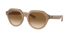 Turtledove (616651)