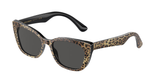 Leo Brown/Black (316387) / 49