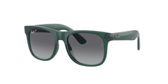 7130T3 (Green)