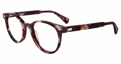 Burgundy Havana (VJV434 480BUH)