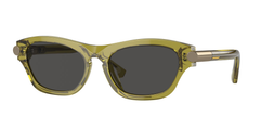 411887 (Green)