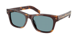 Classic Tortoise (15W04D) / 55