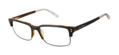 Black Tortoise (764724827847)