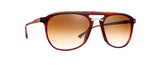 9035Brill Tortoise Shell (42000019035BRILL) / 51