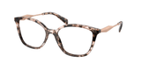 Pink Tortoise (ROJ1O1) / 52