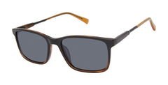 Black Tortoise (764724848217)