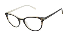 Black Ivory (764724848705)
