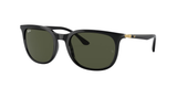 Black (601/31) / 55