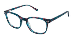 Sfk (S404)