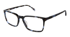 Sf (S401)