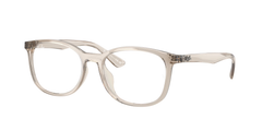 8271 (Brown)