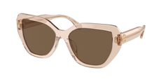 Brown (19541A)