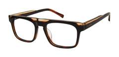 Black Tortoise (764724860516)