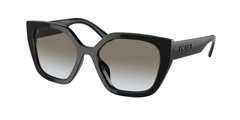 Black (1AB0A7)