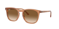 Transparent Brown (676451)