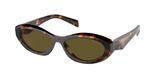 Sage/Honey Tortoise (14L09Z) / 56
