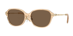 406373 (Brown)