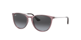 Ray-Ban Junior Junior Erika – Violet (71078G) / 50 Sunglasses Frame