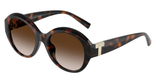 Havana (80153B) / 53