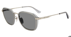 Silver (SPLD46 530579)